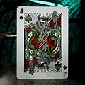 Карты "Theory11 Teenage Mutant Ninja Turtles Playing Cards" Карты "Theory11 Teenage Mutant Ninja Turtles Playing Cards"