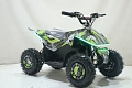Квадроцикл ATV-2E 36V1000W Зеленый (Treme Green 5) Квадроцикл ATV-2E 36V1000W Зеленый (Treme Green 5)